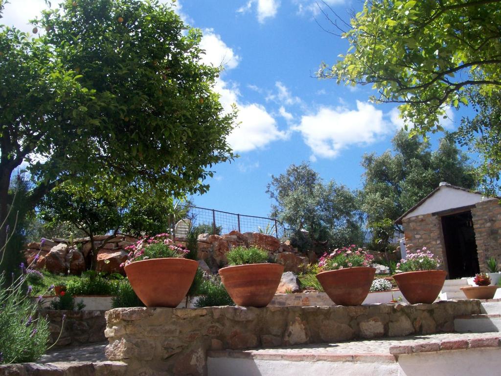 Villa Casa De Abajo Prado Del Rey Exterior foto
